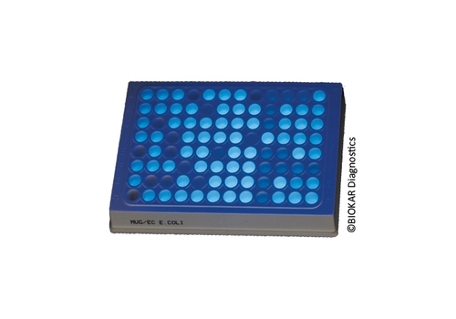 Microplate MUG/EC