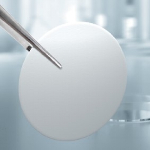 ReliaDisc™ Cellulose Nitrate White / Green Grid 0.45 μm 50 mm