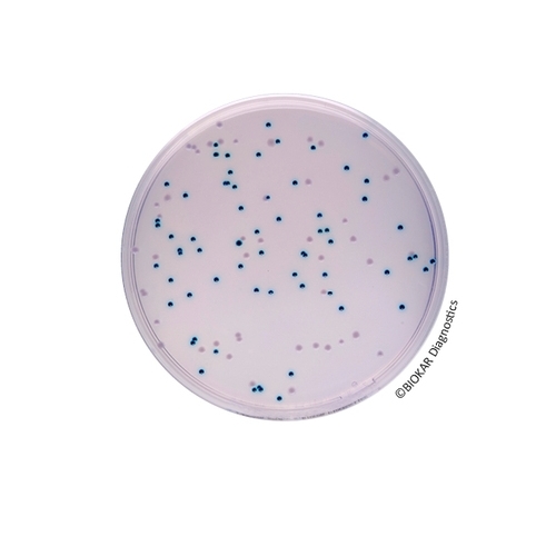  COMPASS® Enterobacter sakazakii Agar