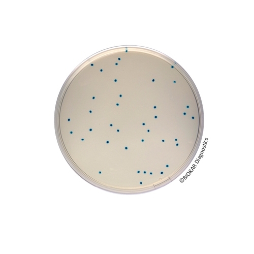 COMPASS® Enterococcus Agar