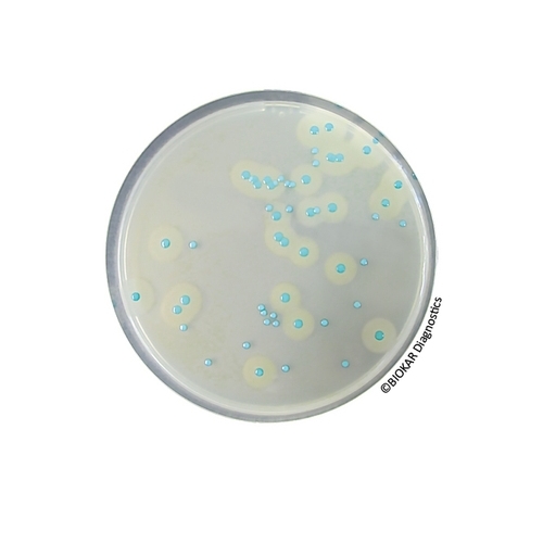 COMPASS® Listeria Agar