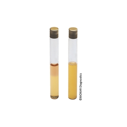 Thioglycollate Medium with Resazurin