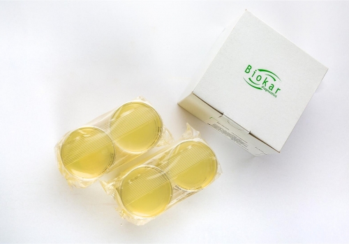 Rapid Chromogenic Media
