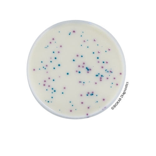 IRIS Salmonella® Agar (RTU)