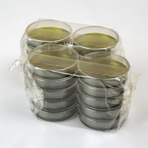 Baird-Parker Agar With Egg Yolk Tellurite (RTU)
