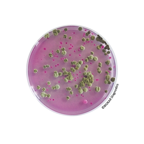SYMPHONY Agar (RTM)