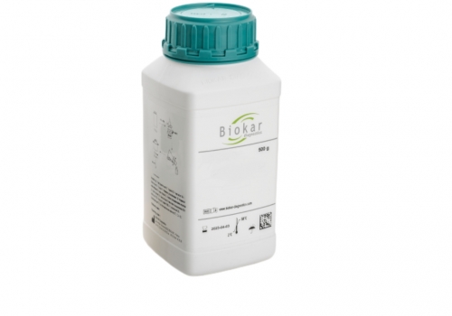 Pancreatic Digest Of Casein 