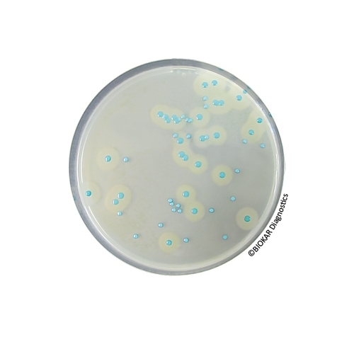 COMPASS® Listeria Agar (RTU)
